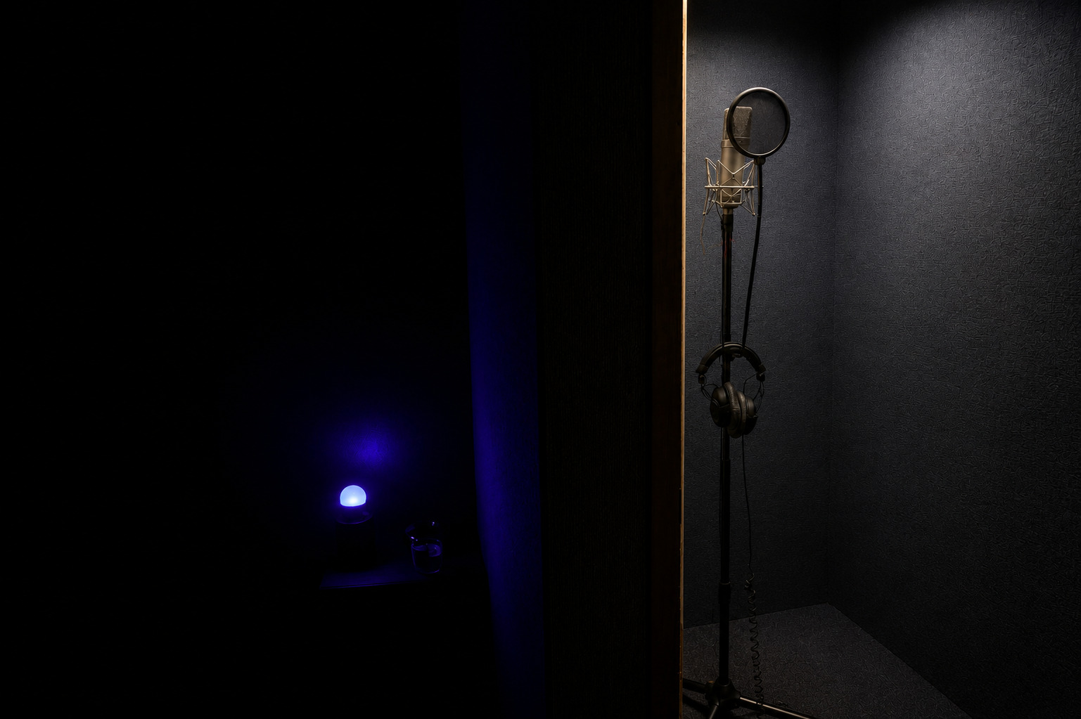 Cabine d'enregistrement voix et instruments d'Audio Linea Studio